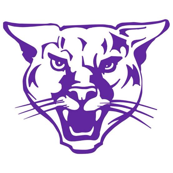 Pine Valley Central School District Logo